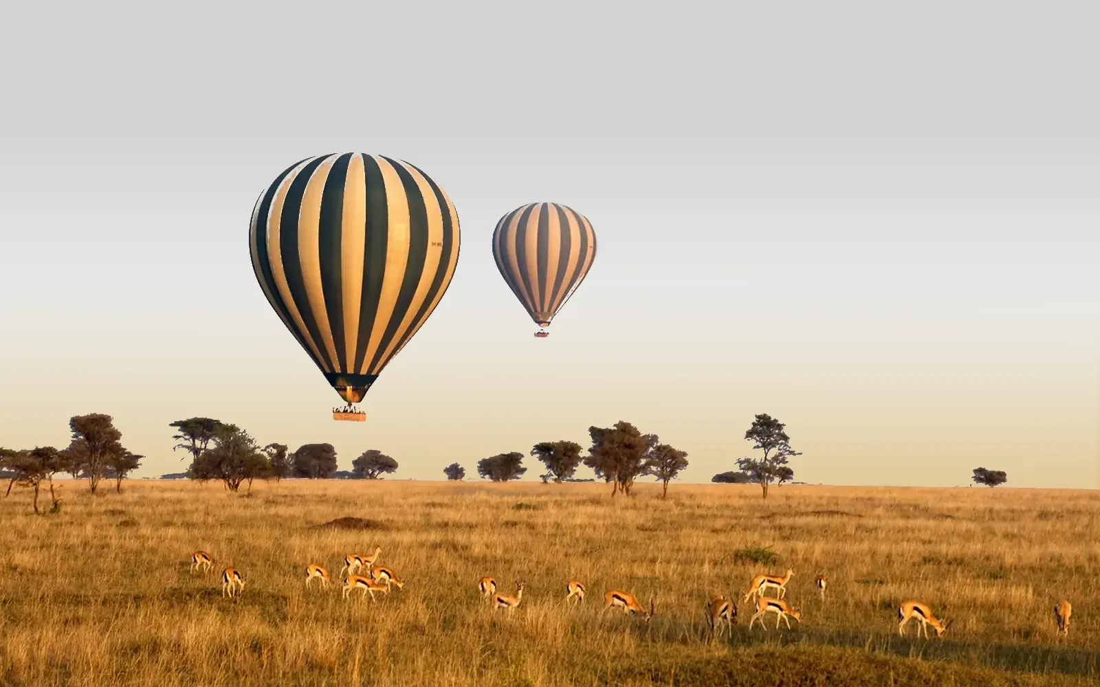 Balloon Safari