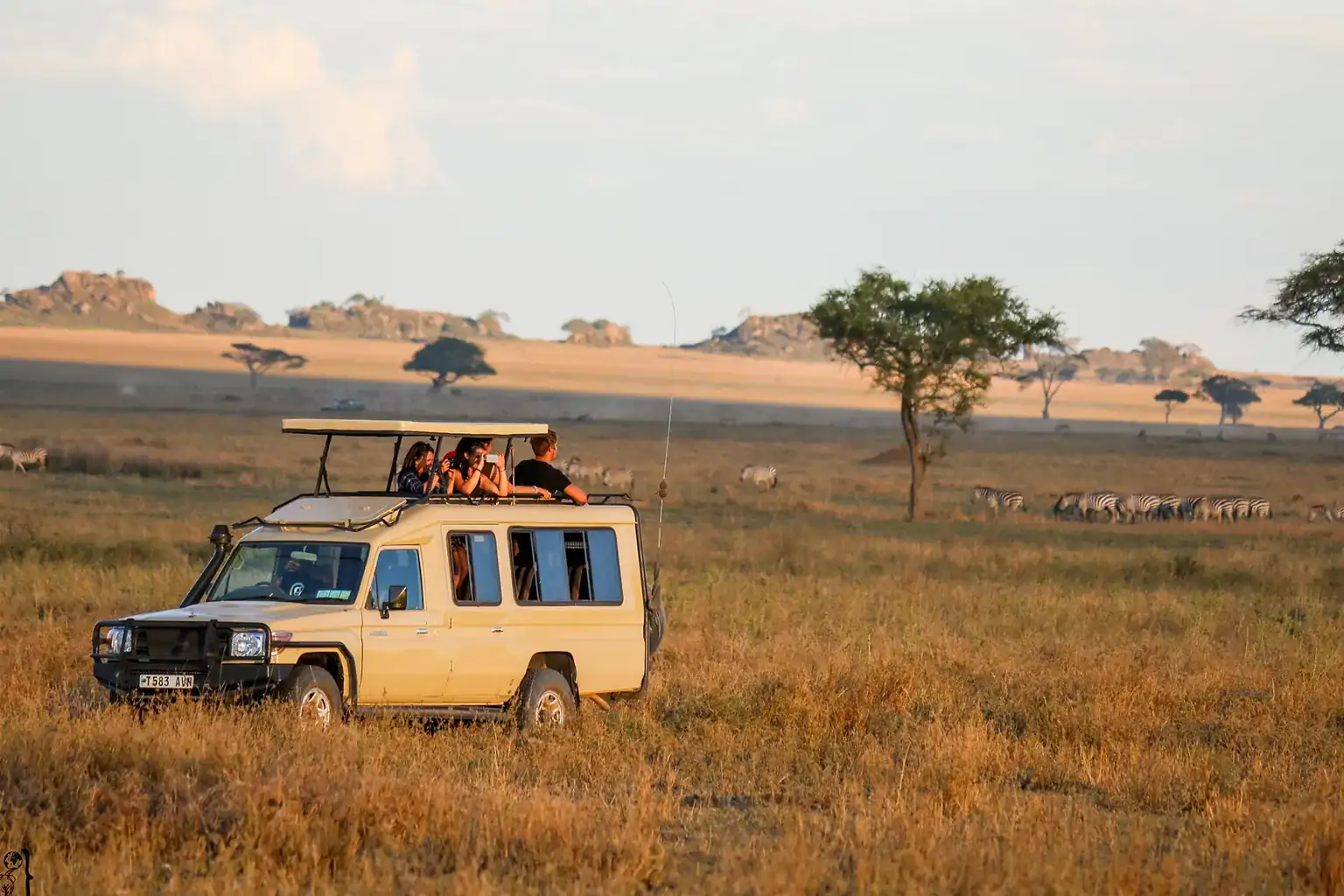 Game Drive Activities