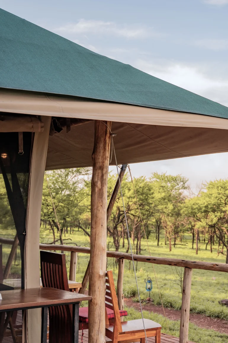 Bestday Safaris