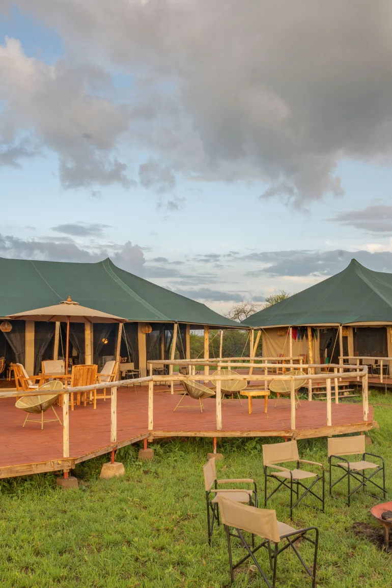 Bestday Safaris