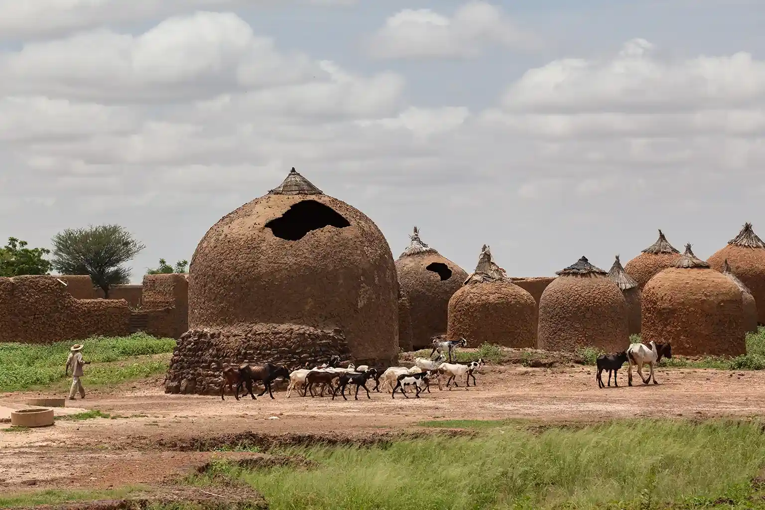 Cultural Tours for Travelers