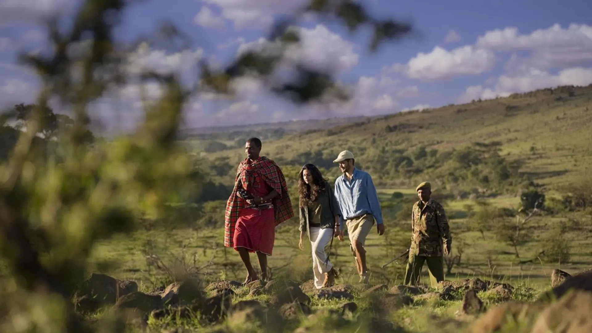 Bestday Safaris