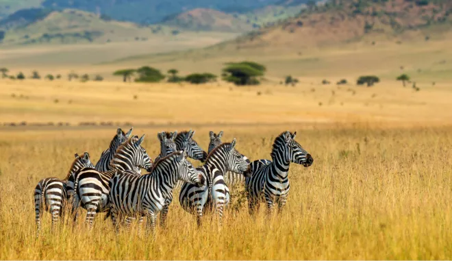 Best time to visit Kilimanjaro
