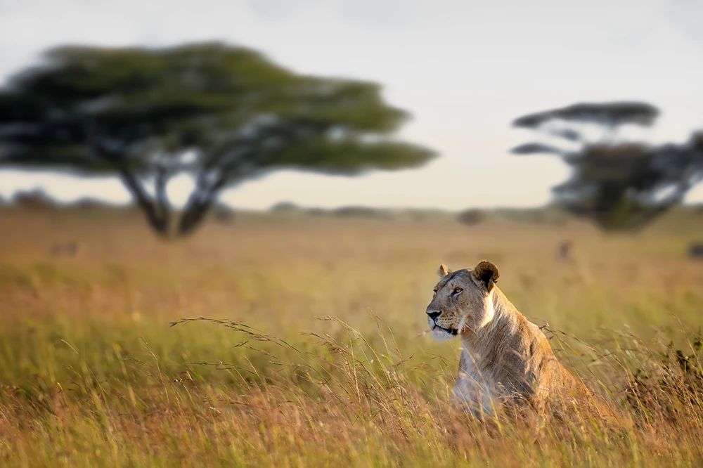 Lake Manyara National Park