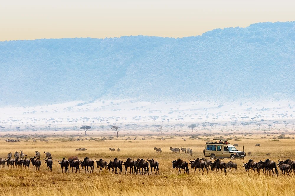 Ngorongoro Crater