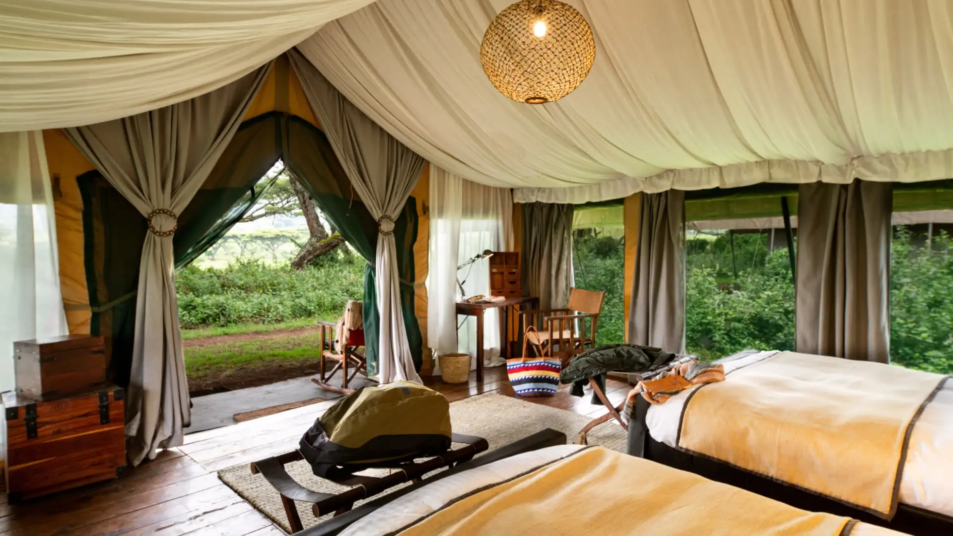 Bestday Safaris