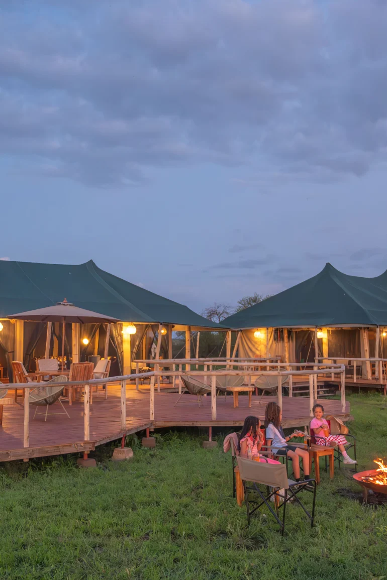 Bestday Safaris