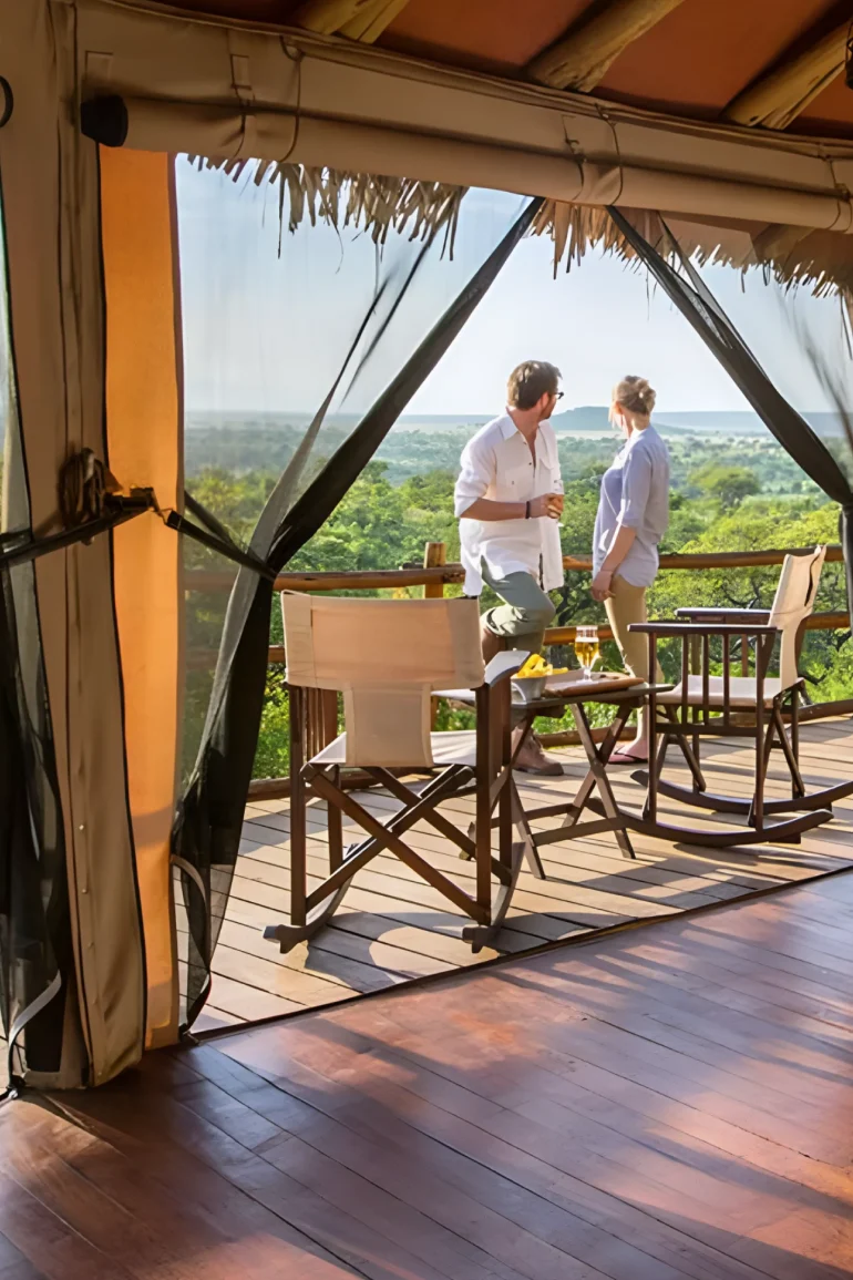 Bestday Safaris