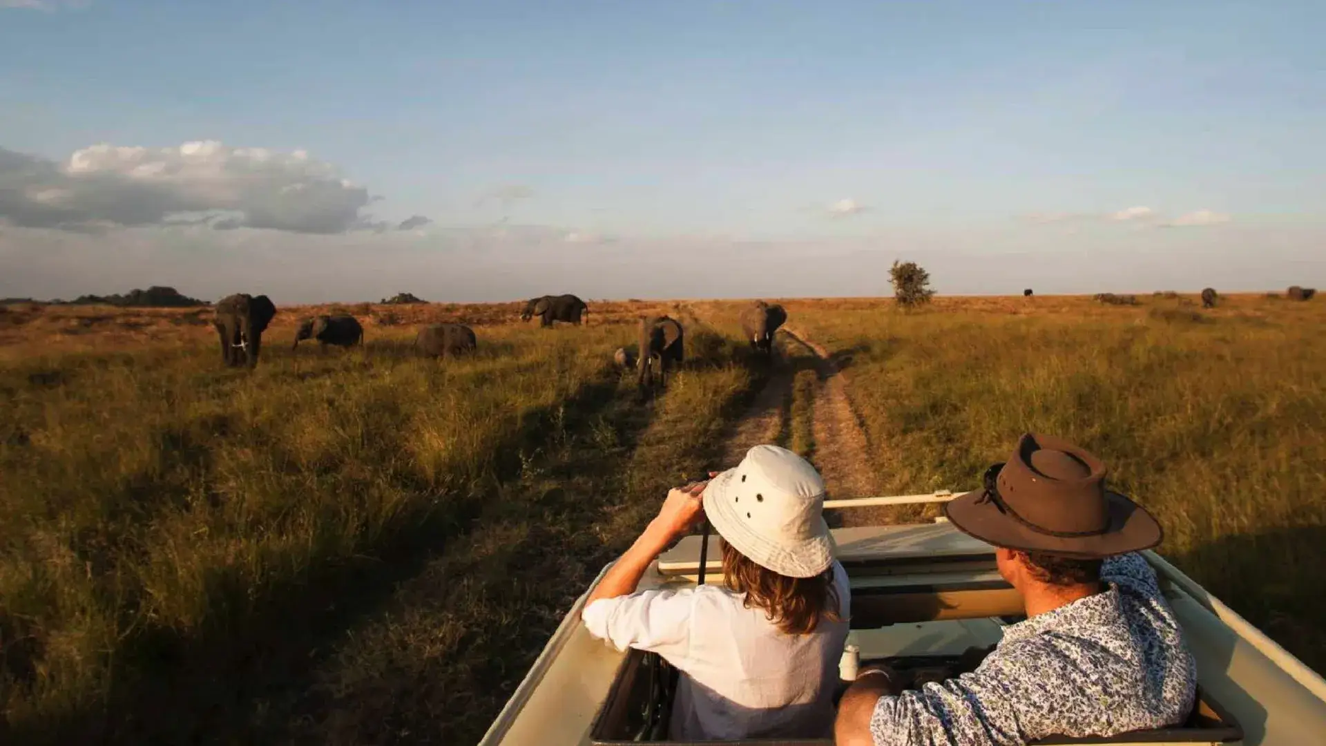 Tanzania Private Safari