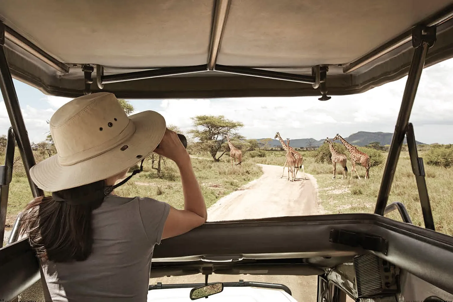 Game Drives