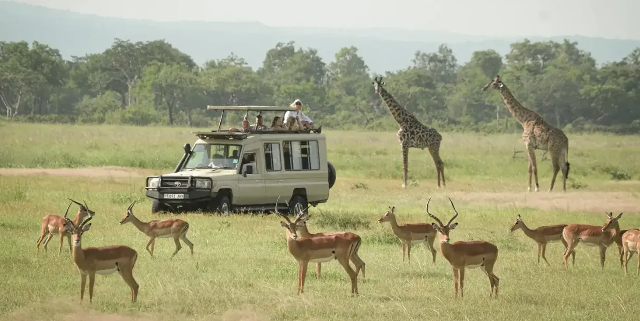 Tanzania Wildlife