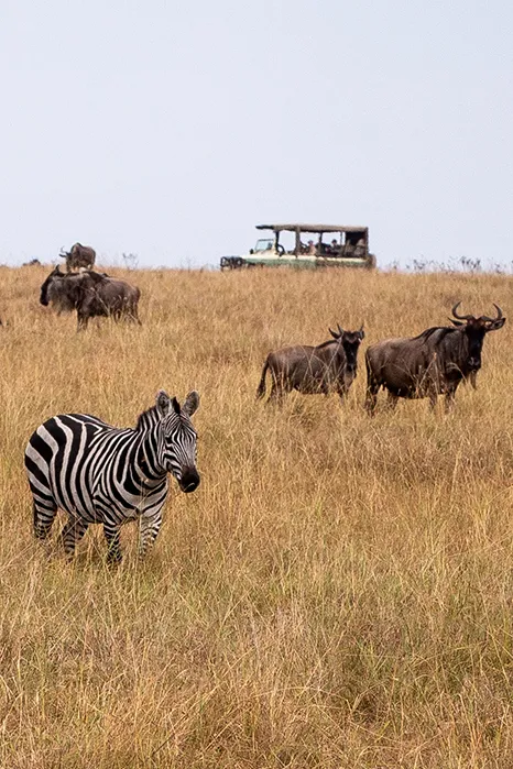 Seasonal Cost in Tanzania