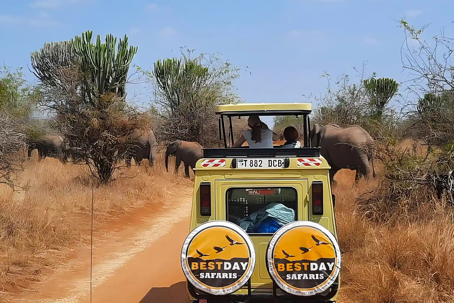Tanzania Safari Experiences