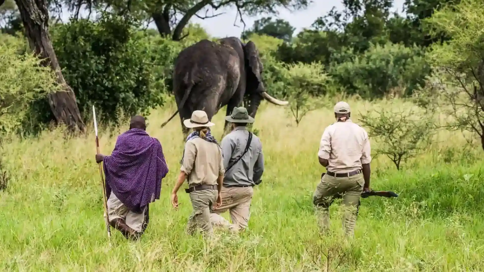 Bestday Safaris