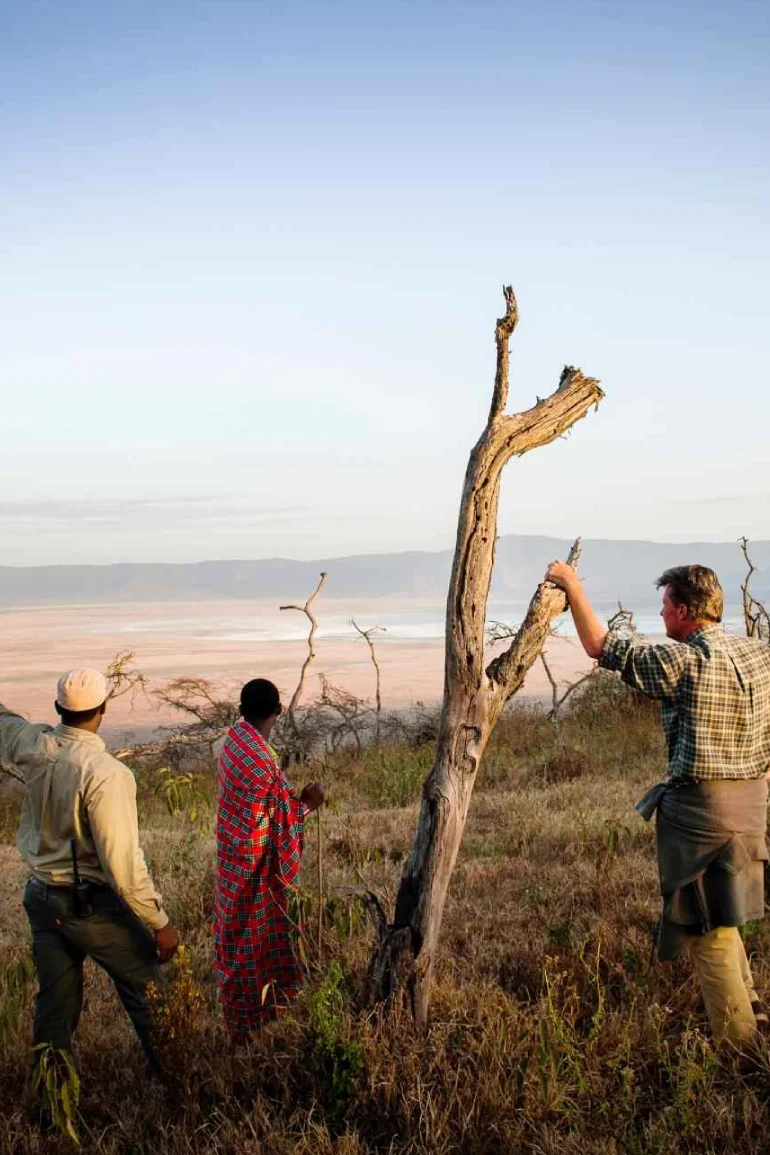 Bestday Safaris