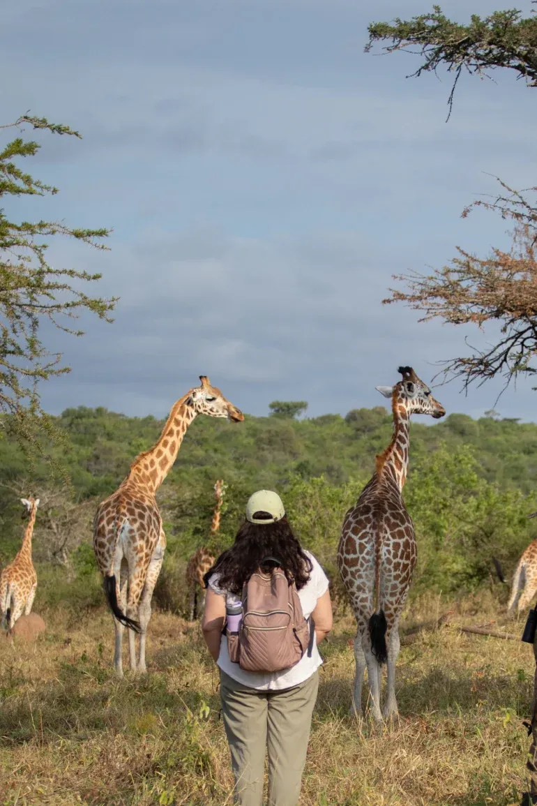 Bestday Safaris