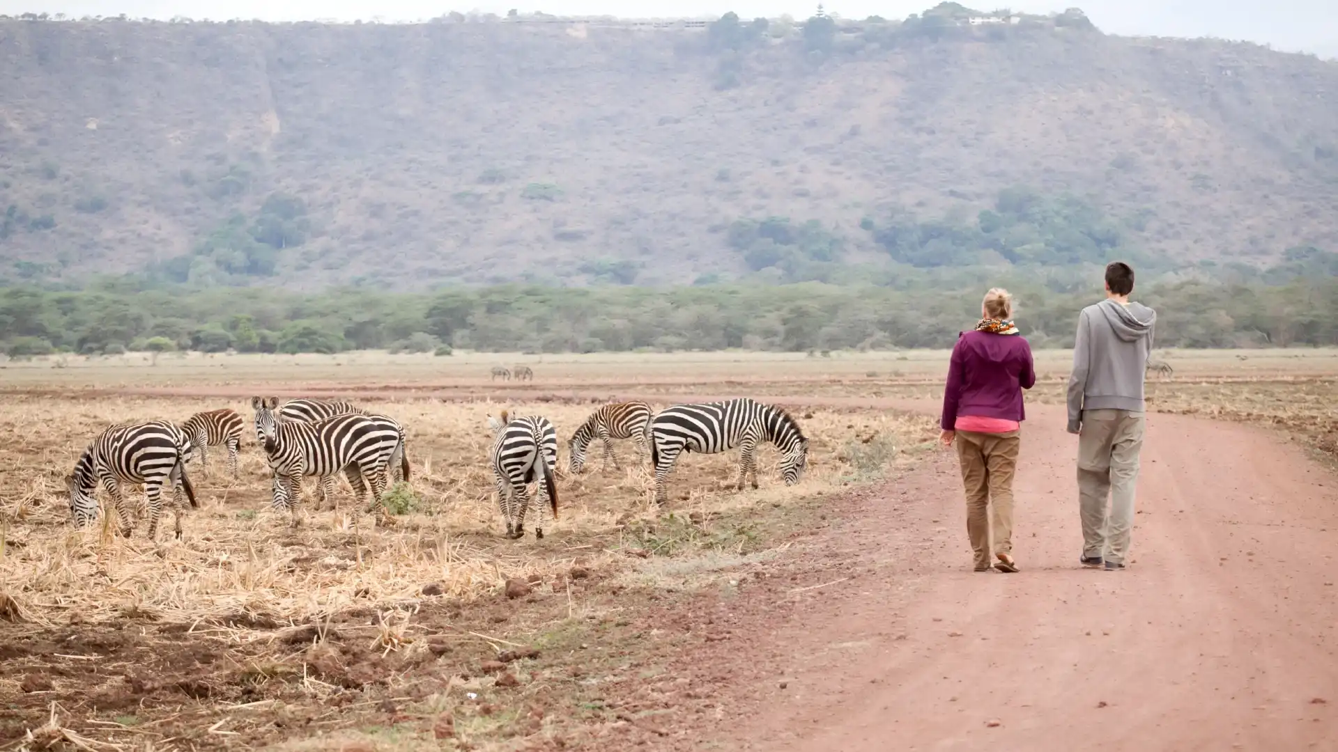 Bestday Safaris