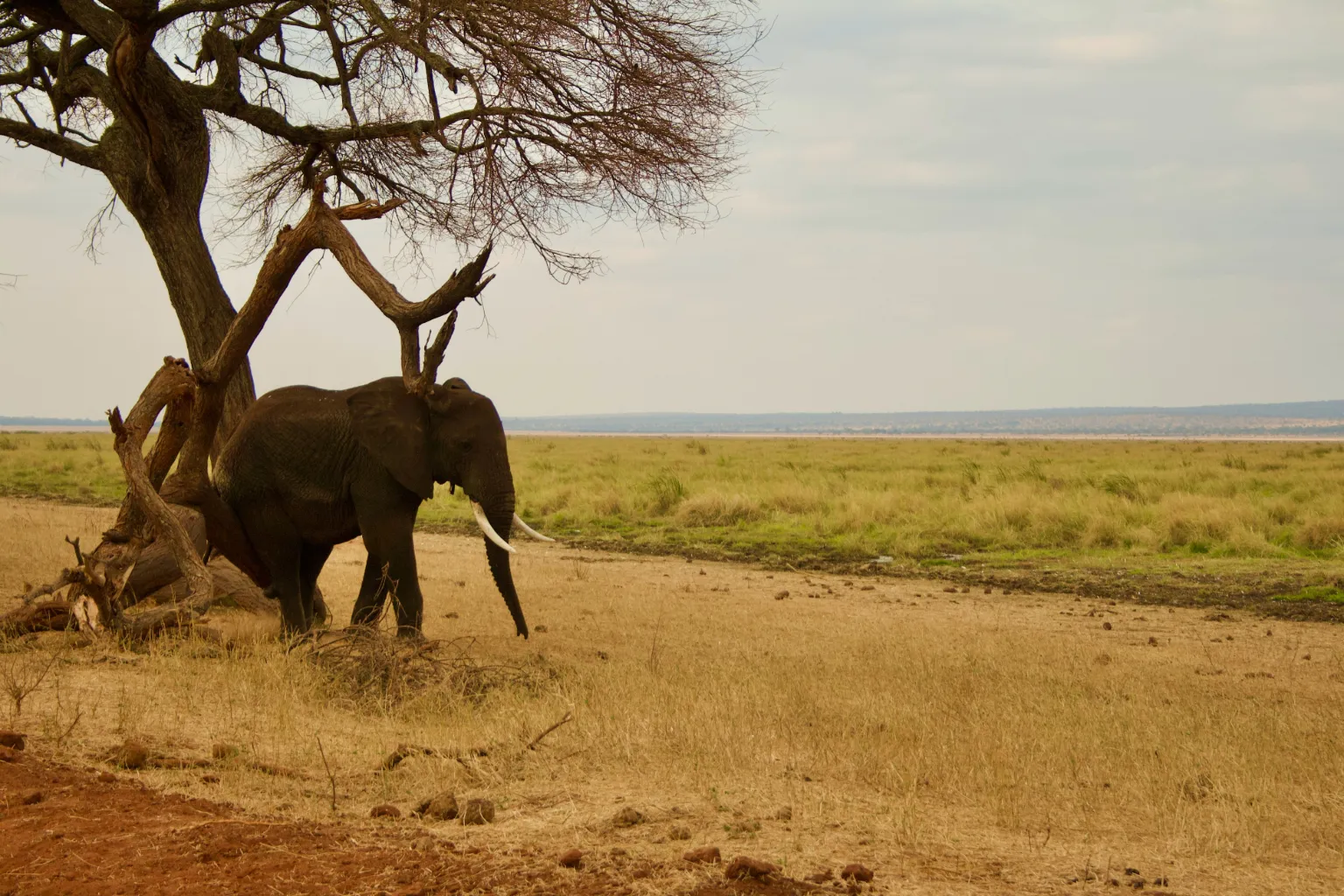Tanzania Accommodations