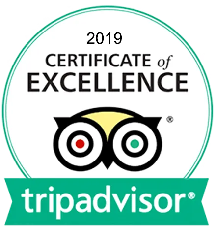 Tripadvisor 2019