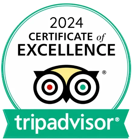 Tripadvisor 2024