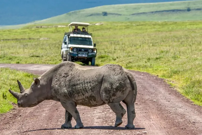 Budget Safari Packages