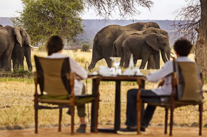 Tanzania Honeymoon Safari