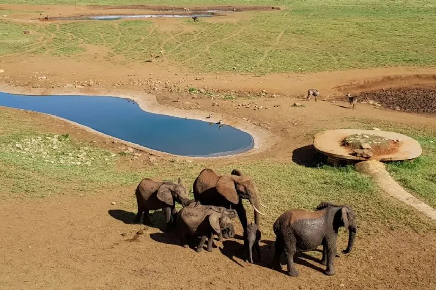 Tanzania Safari Cost