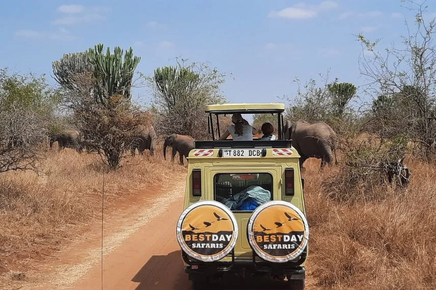 Tanzania Safari Experience