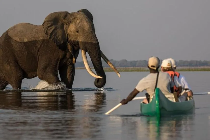Lake Manyara Activities