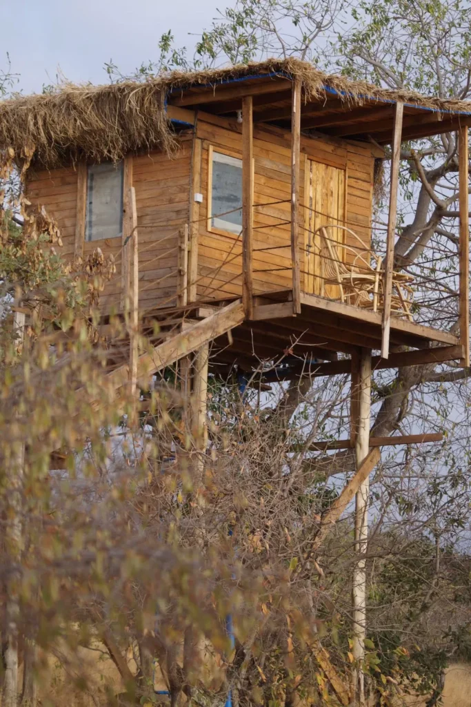 Lake Manyara National Park Accommodations