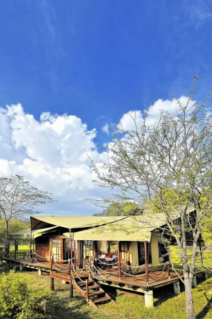 Serengeti Accommodation
