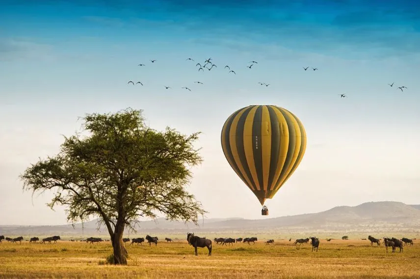 Serengeti Activities
