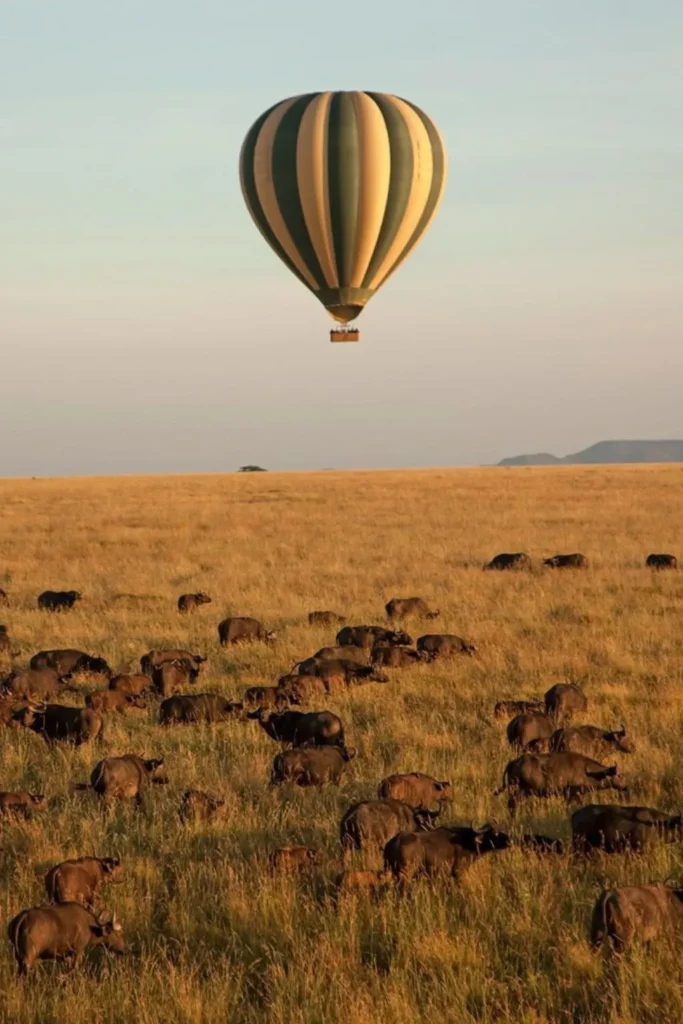Safari Activities in Serengeti