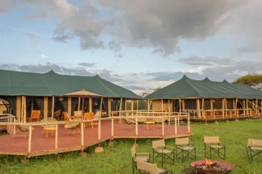 Luxury Safari Experience in Tanzania