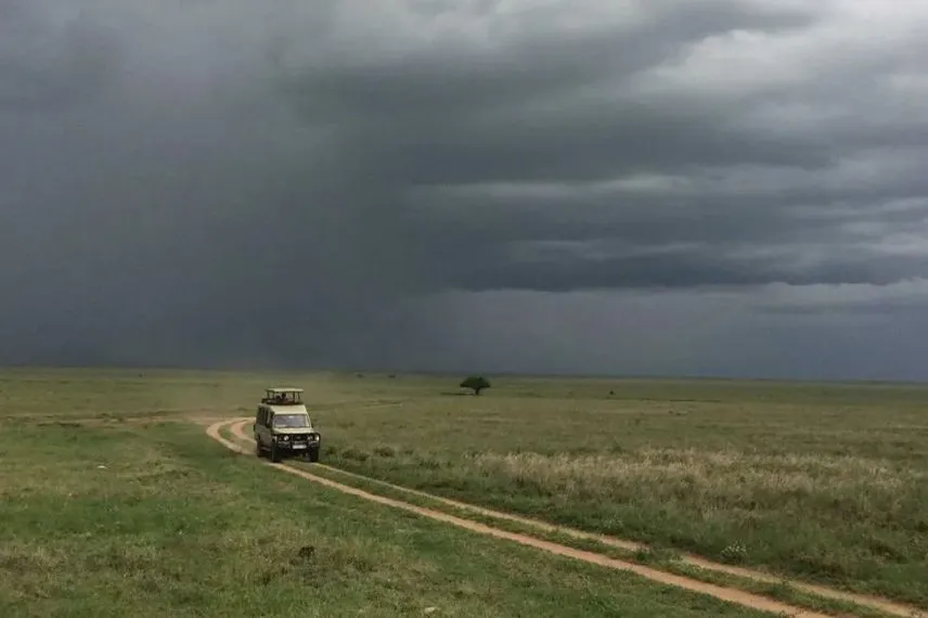 Tanzania Rainy Season Safari