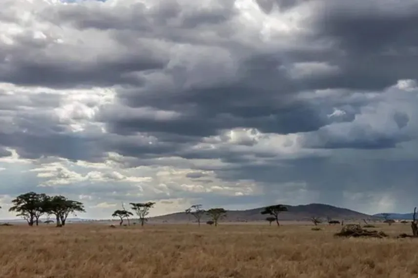 Tanzania Rainy Season