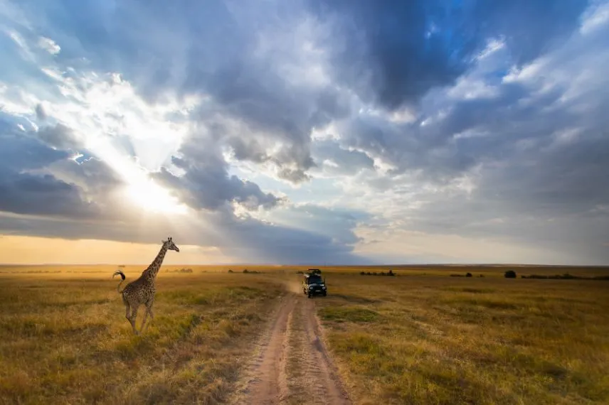 Tanzania Safari Cost