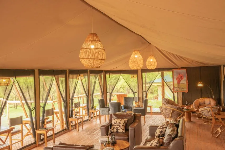 Tanzania Safari Experience