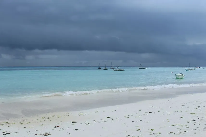 Zanzibar Coast