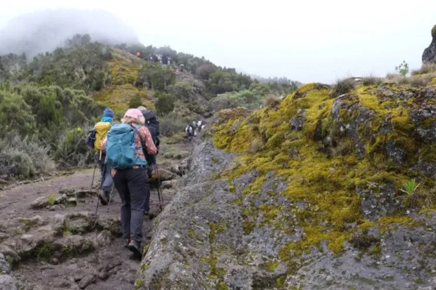 Kilimanjaro Climbing Route