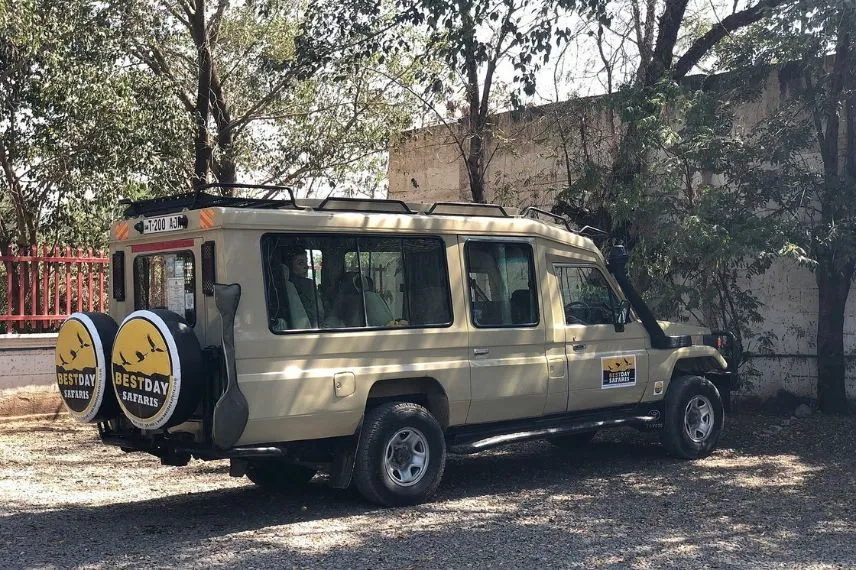 Tanzania Safari