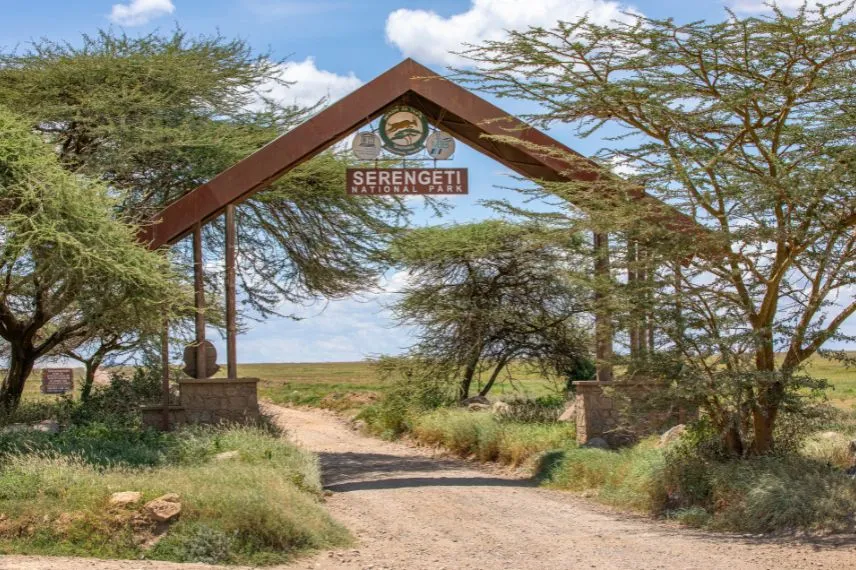 Tanzania Safari in Serengeti