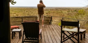 A Luxury vs. Budget Tanzania Safari – What to Expect in 2026