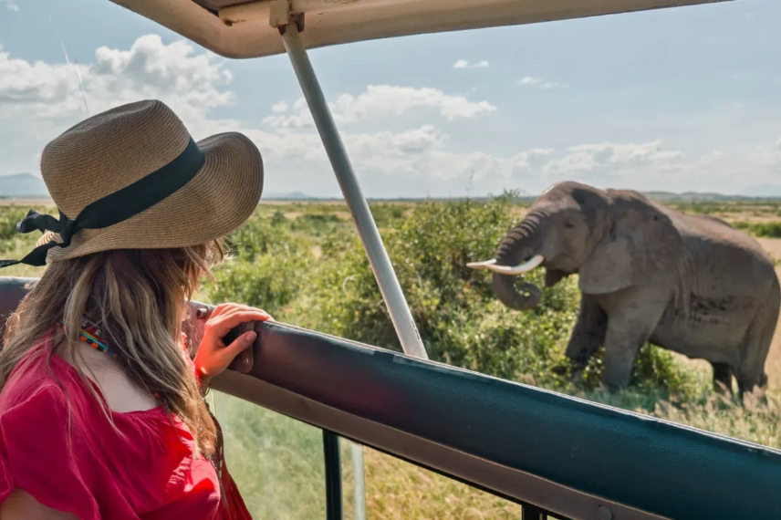 Tanzania Safari Wildlife