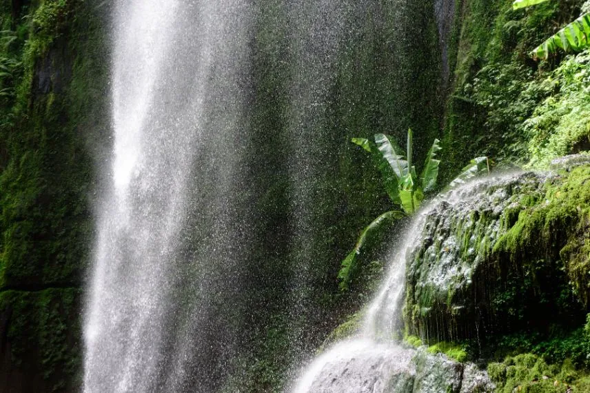 Arusha Waterfall Tour