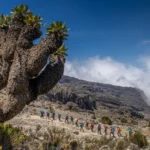 Kilimanjaro Route Comparison 2026 - Choose the Right Route for Your Travel Style
