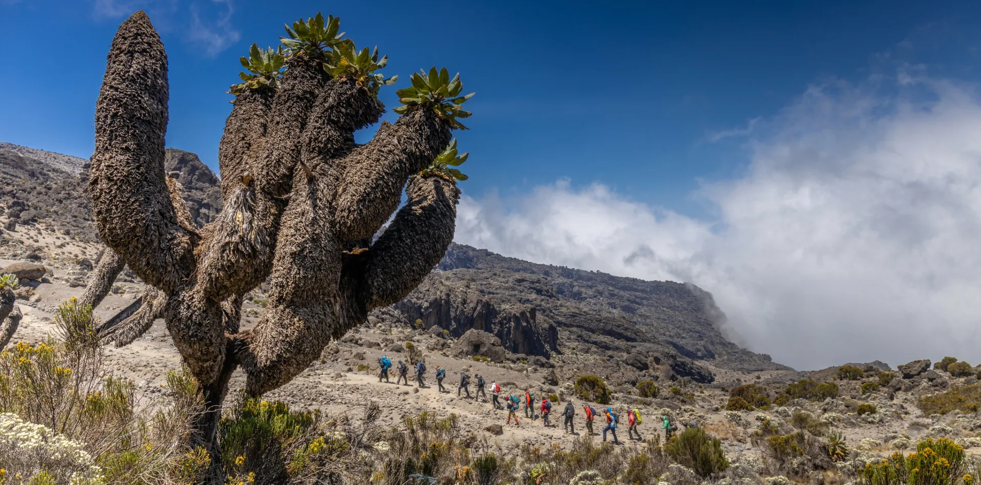 Kilimanjaro Route