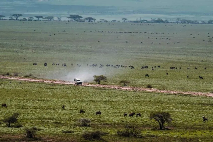 Best Time Visit Tanzania