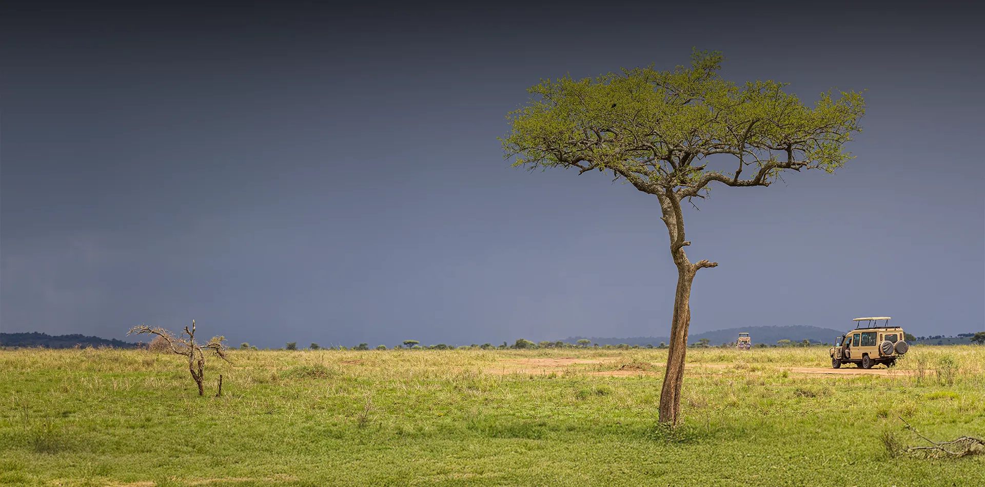 Best Time Visit Tanzania