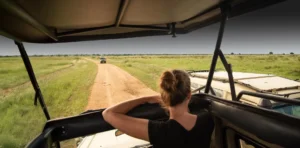 Tanzania Safari Tours